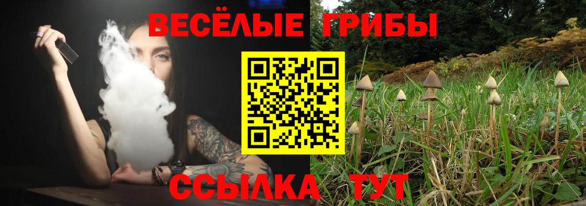 Псилоцибиновые грибы Psilocybe Нижневартовск